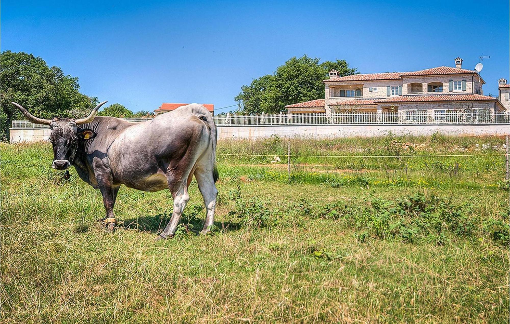 Casa vacanze Nevia *